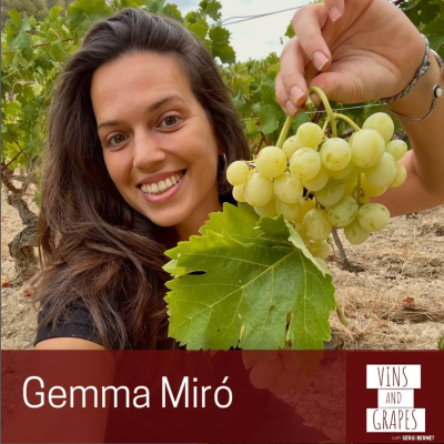 Vins and grapes. 30-01-2025