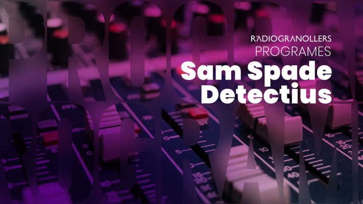 Sam Space Detectius (2023-06-12)