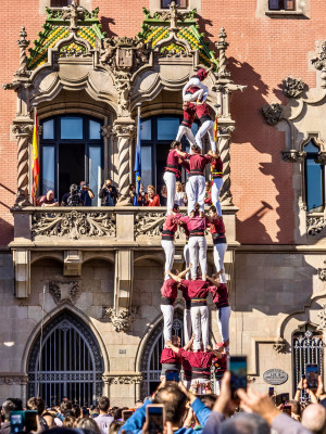 Granollers al dia 11-11-2024