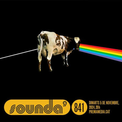 Sound System 11-11-2024