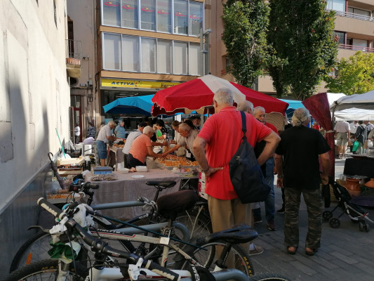 Granollers al dia 19-09-2024